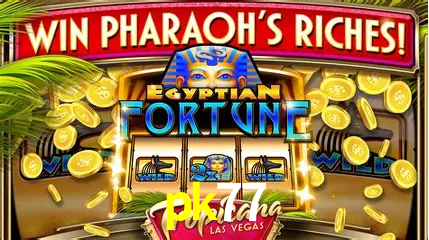 Cassino ao vivo com dealers reais na pk77